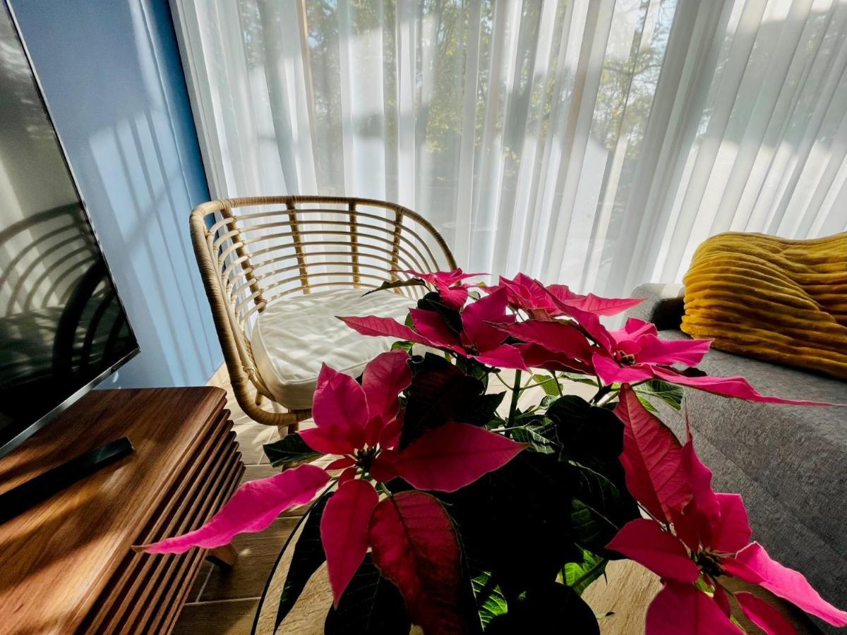 Aranygesztenye Apartmanhaz บาลาโตนูดวารี ภายนอก รูปภาพ